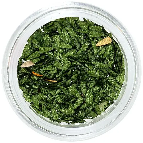 Olivno zelene okrasne kaplje iz blaga