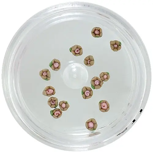 Svetlo rjave akrilne cvetlice za okraševanje nohtov