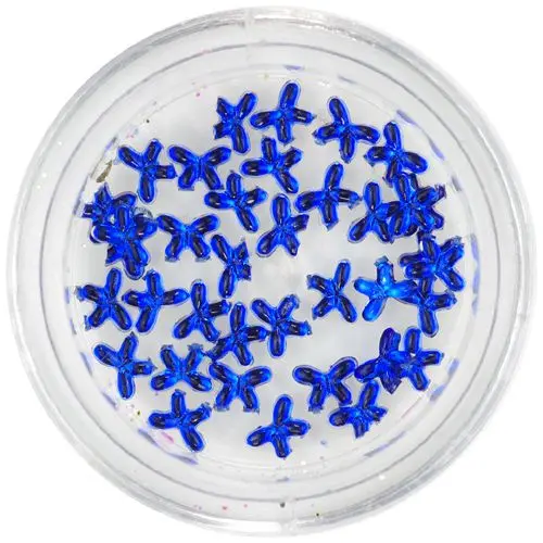 Okrasni kamenčki pentljice, kraljevsko modri